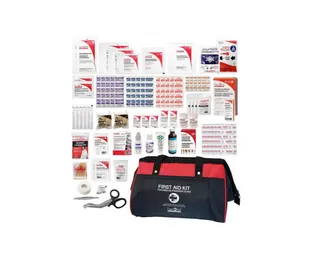 Amazon, Deluxe First Aid Kit, CANVA, spring cleaning your car 2023