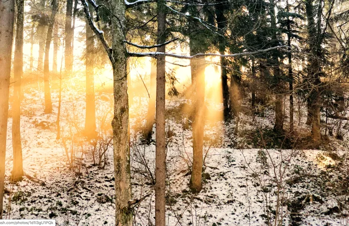 Si l’hiver a été doux, le printemps sera… Réponse ici.