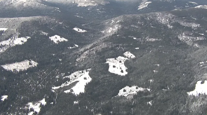 buttemeadows