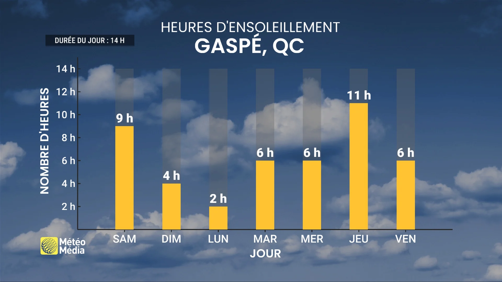 PLUIE6