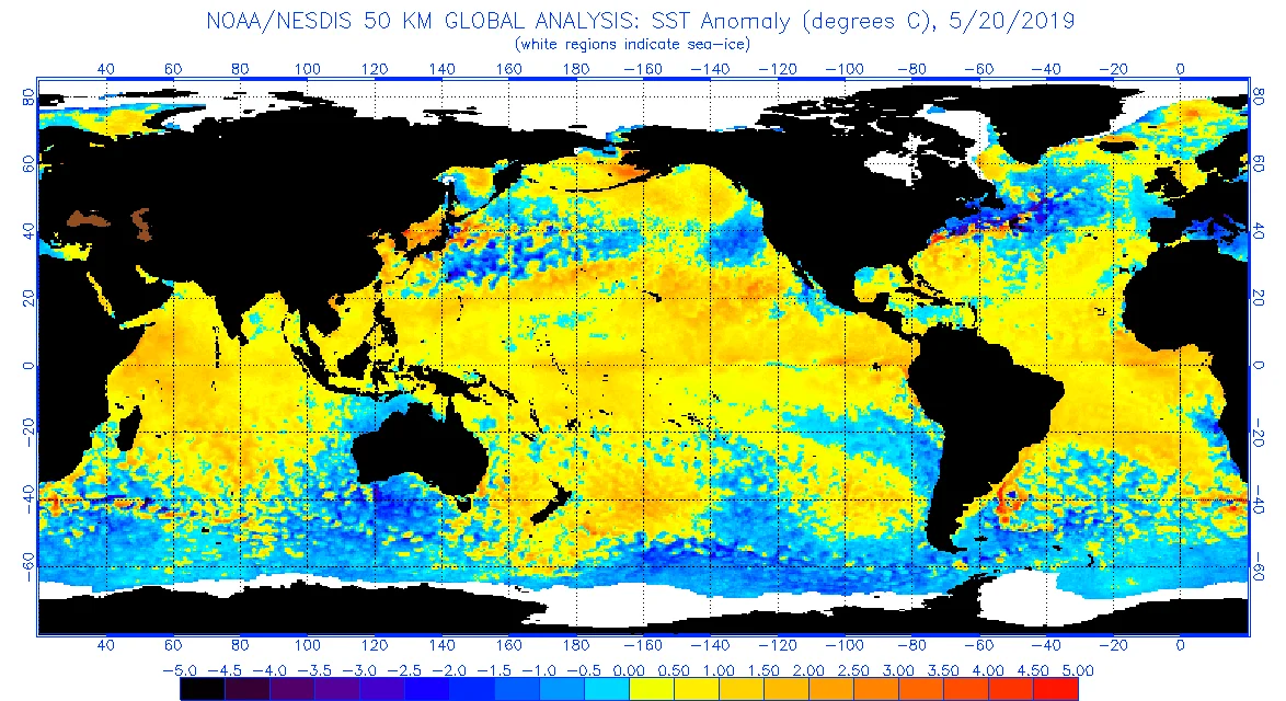 SST anomalies may 20 2019