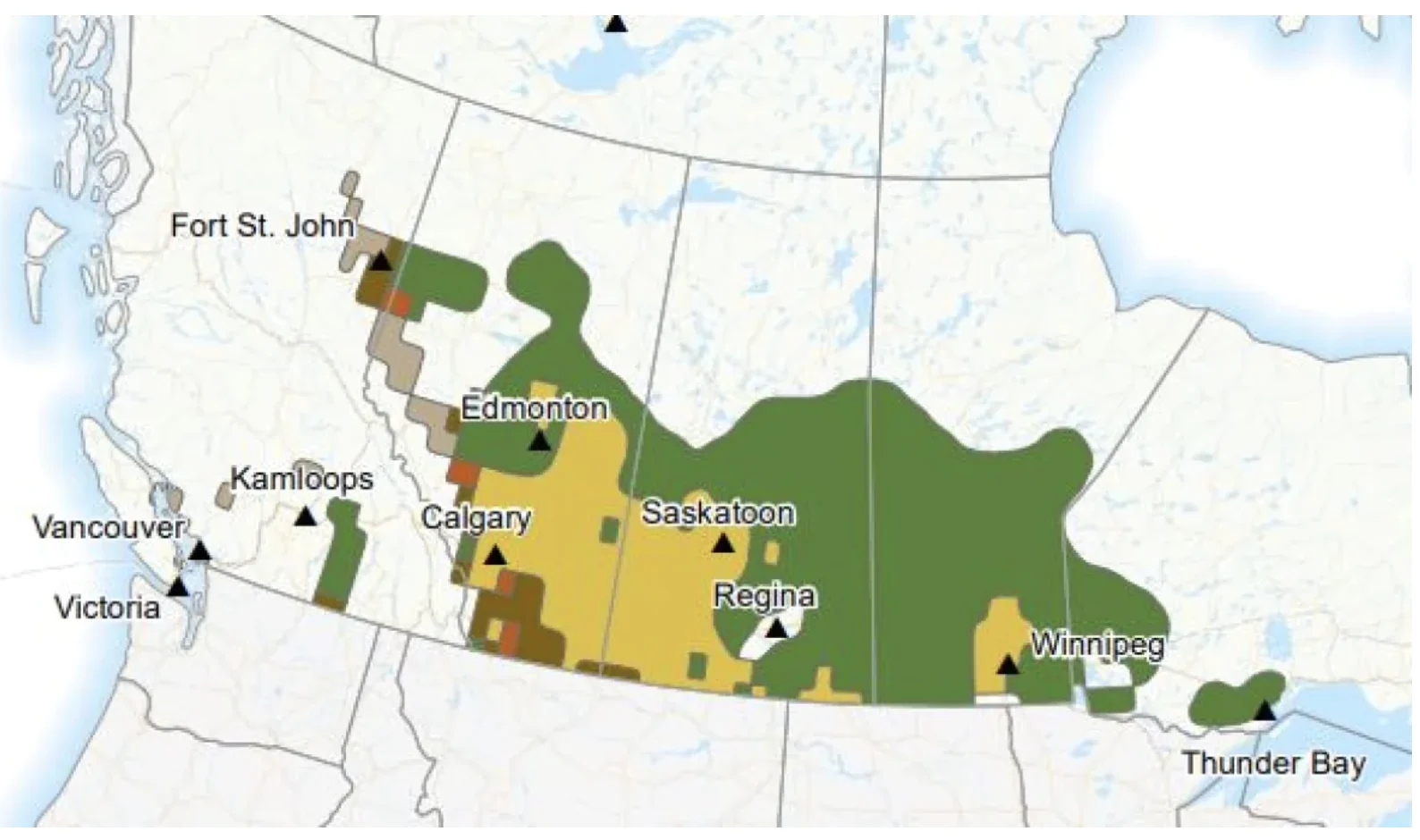 Agriculture and Agri-Food Canada's latest drought outlook predicts conditions will improve in several parts of the Prairies by the end of February. The area in dark green indicates 'drought removal' and yellow indicates 'drought improves.' (Agriculture and Agri-Food Canada)