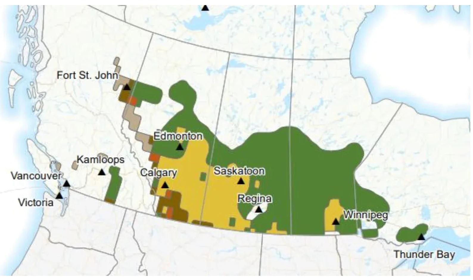 Agriculture and Agri-Food Canada's latest drought outlook predicts conditions will improve in several parts of the Prairies by the end of February. The area in dark green indicates 'drought removal' and yellow indicates 'drought improves.' (Agriculture and Agri-Food Canada)