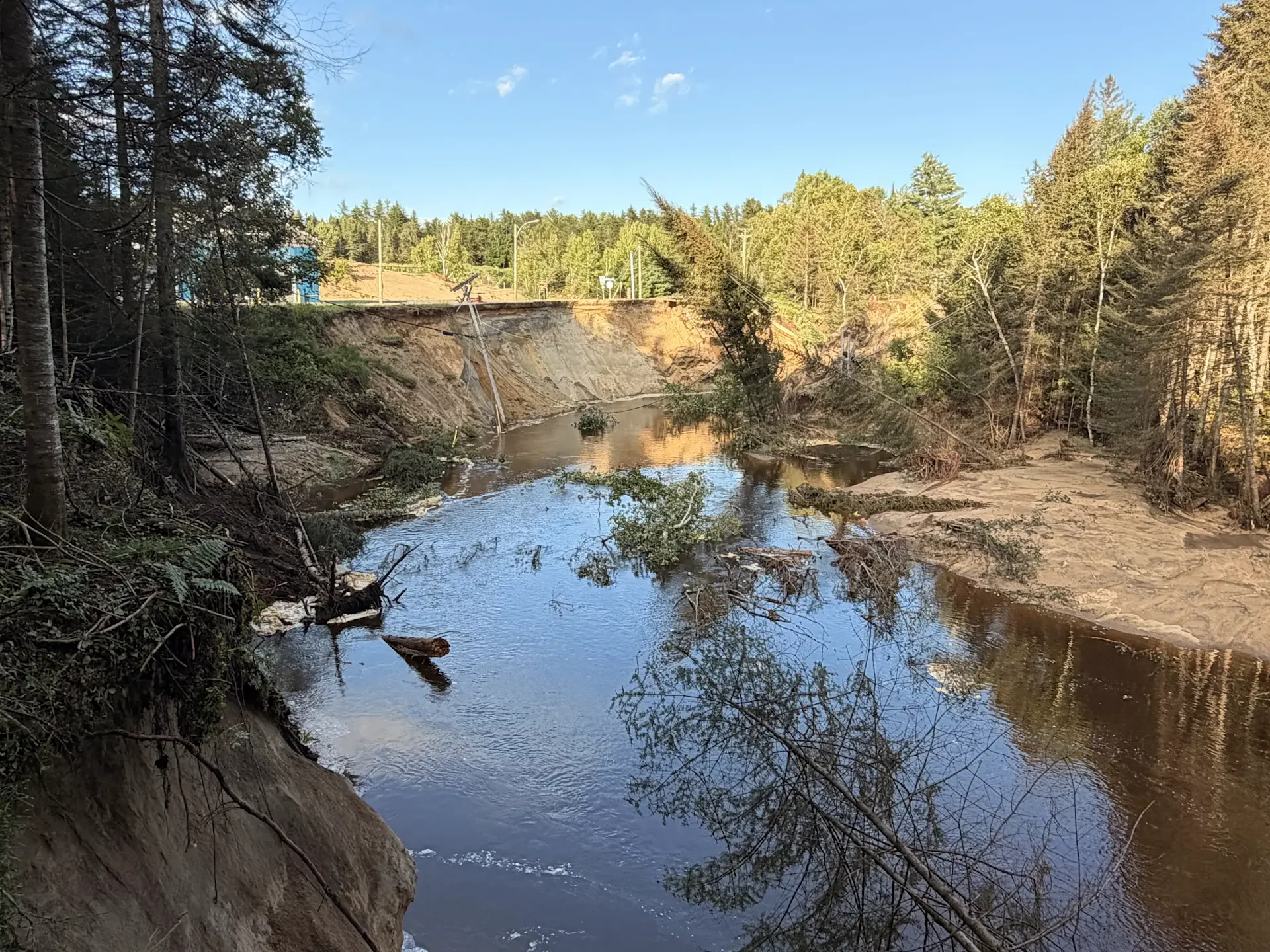 Image 20260804 110246 945