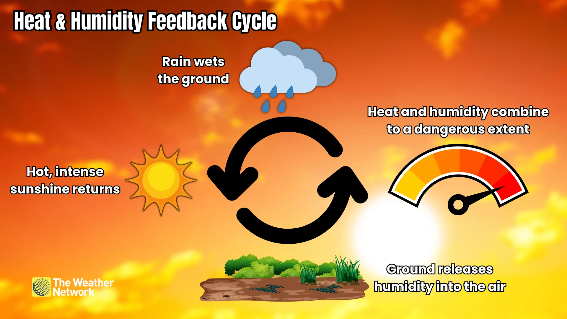Heat and Humidity Feedback Cycle