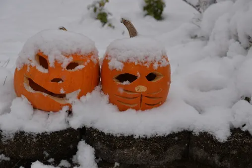 FIRST LOOK: Pattern shift could give parts of the country a WHITE Halloween