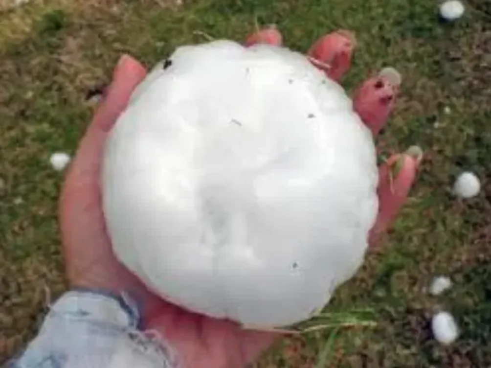 Giant hailstone found in the midst of the St. Louis Metropolitan Area hail storms. Courtesy NOAA