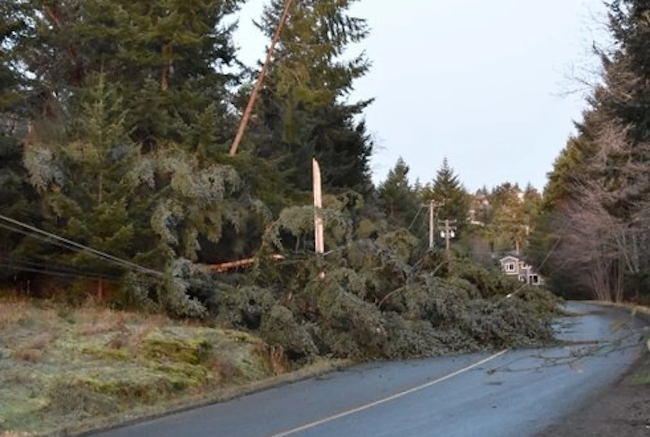 Lower Mainlanders less ready for storm season than others in B.C.
