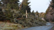 Unusual 'fall-like' storm set to wallop B.C. coast with wicked winds