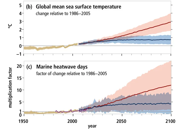 Ocean-Temps-Heatwaves-IPCC
