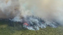N.L. government declares state of emergency as forest fires rage