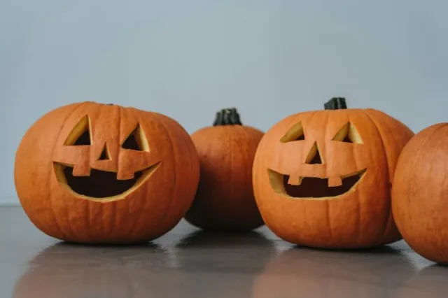 Here's What to Do With Your Pumpkins After Halloween – NBC New York