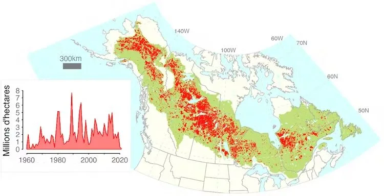 Carte feux amérique