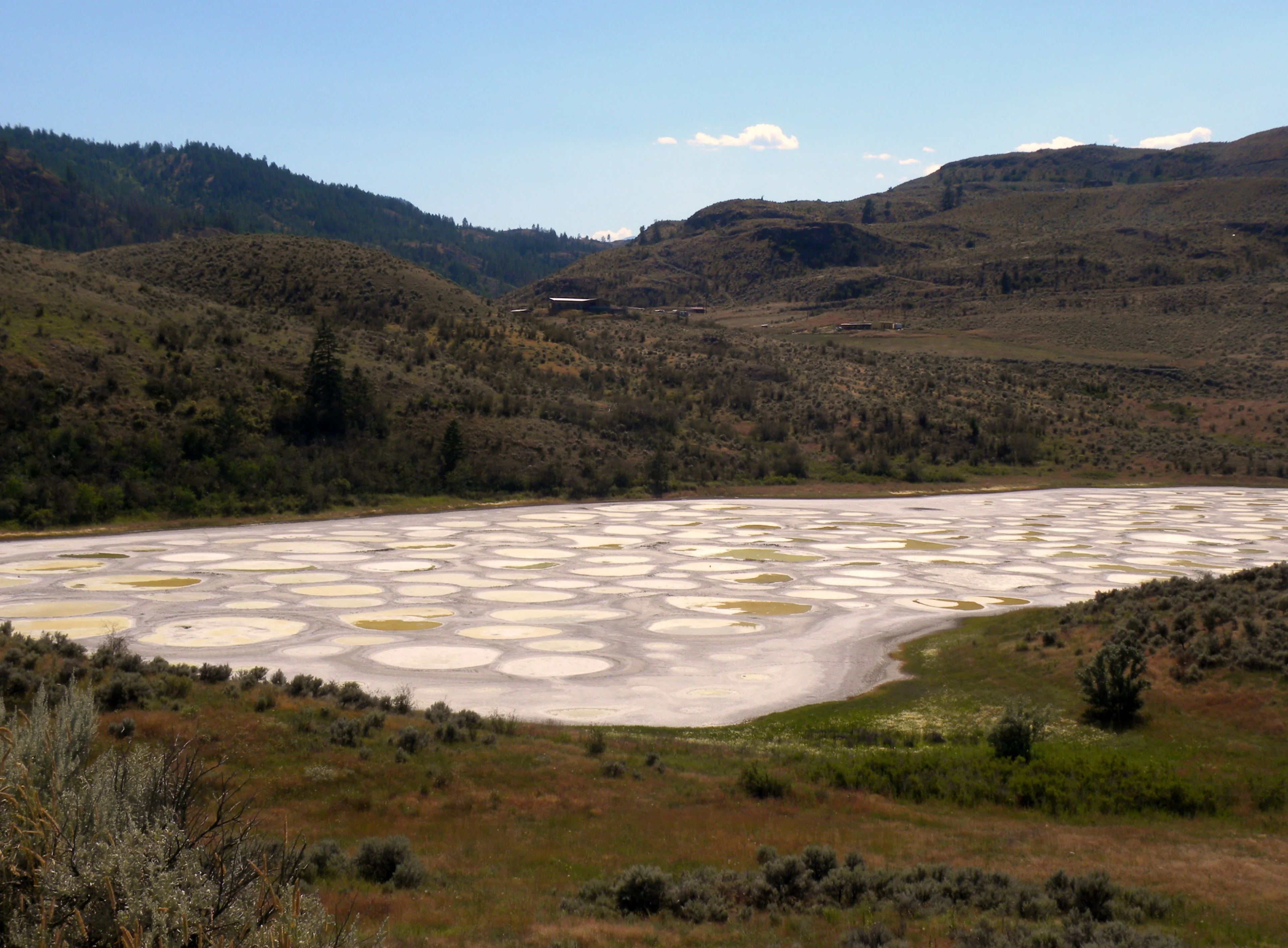Spotted LAke Dee Newman
