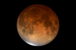 Everything you need to know about November's ultra-rare partial lunar eclipse
