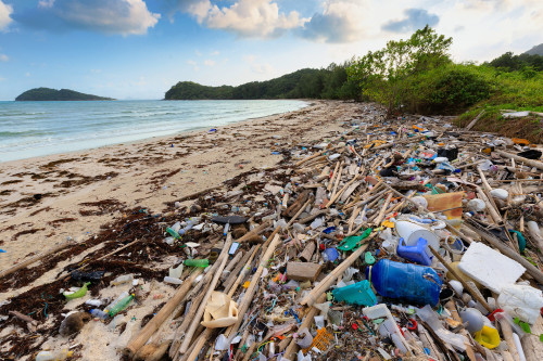 How to get abandoned, lost and discarded 'ghost' fishing gear out of the  ocean