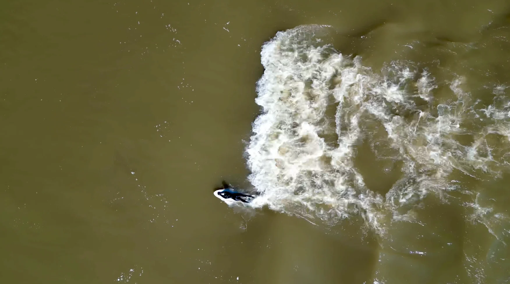 Surf de rivière dompter les vagues au fil des saisons MétéoMédia
