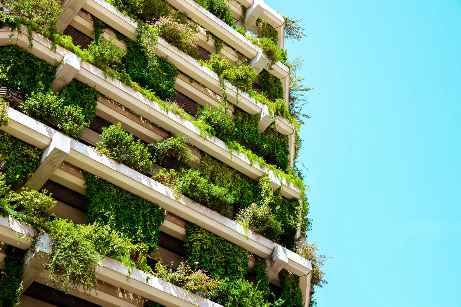 sustainable building Credit: Artur Debat. Moment. Getty Images