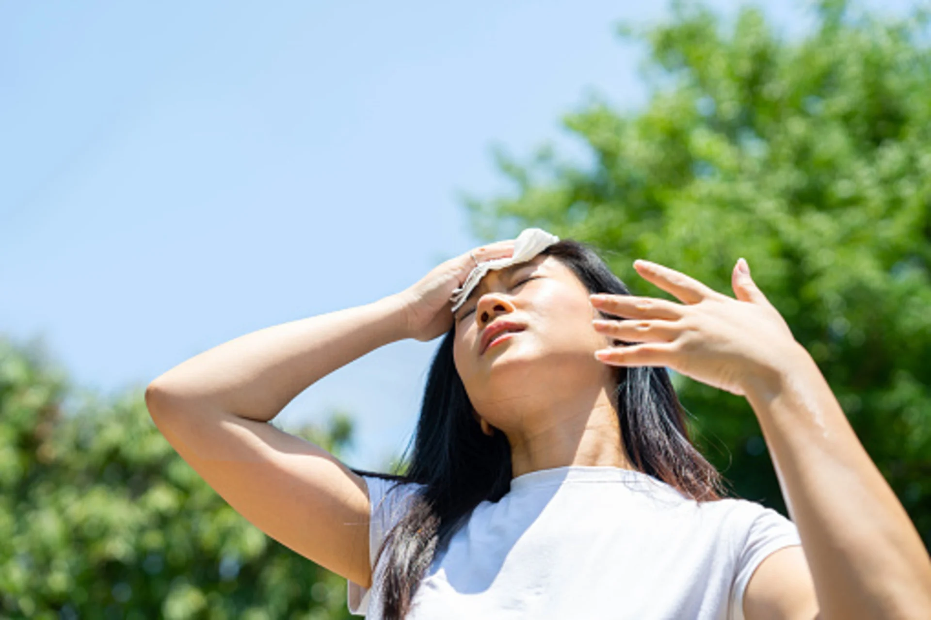 'Feel' miserable out? How our bodies react when humidex values soar