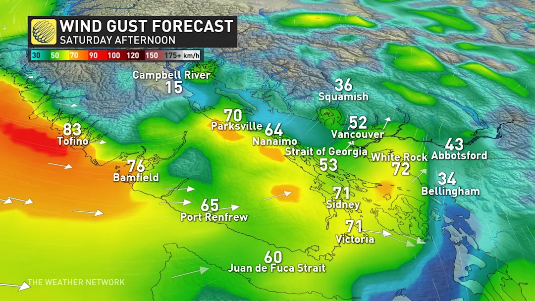 240K+ lose power and 1 highway closed in B.C. as storm winds rage - The ...