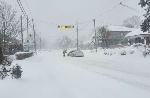 Ontario blizzard - Robin