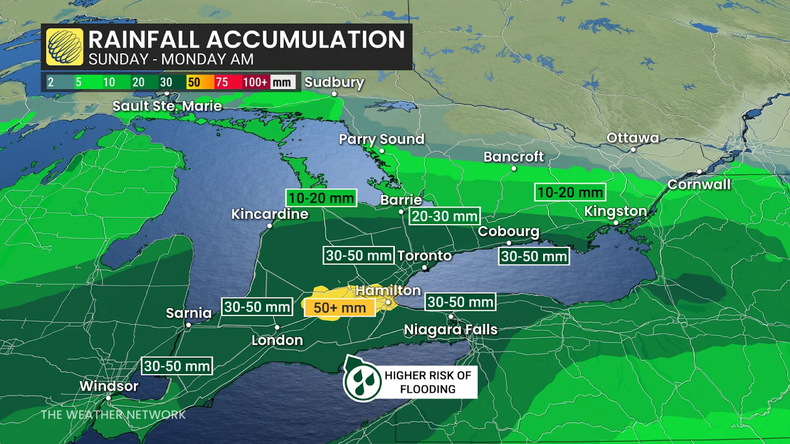 High-impact winter storm bears down on Ontario Sunday - The Weather Network