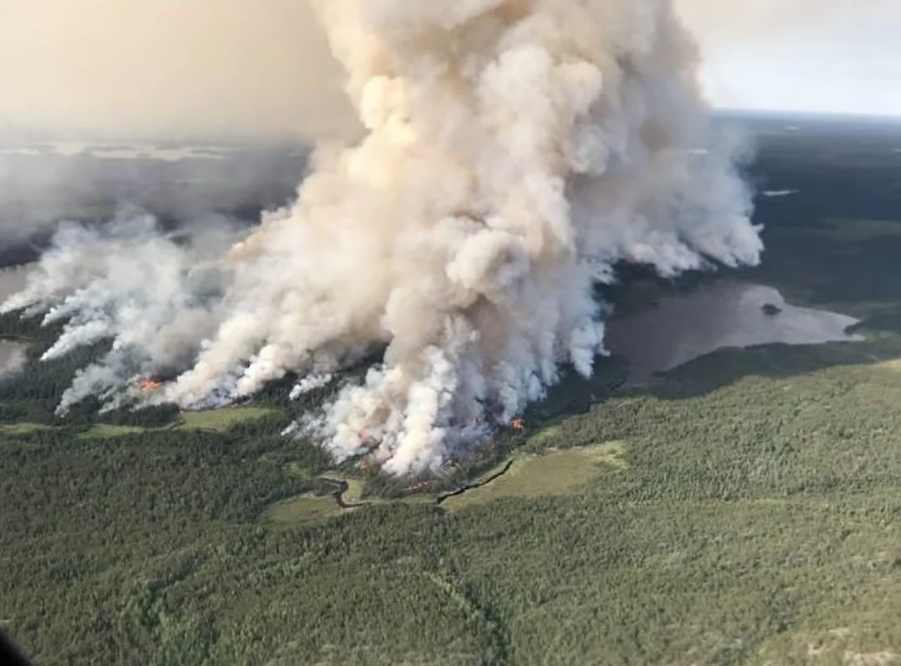 Wildfire/Ontario Ministry of Northern Development, Mines, Natural Resources and Forestry via CBC