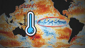 La Niña likely to influence winter weather into the start of 2026