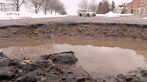 '2 tires, 2 flats': Montreal mayor shares her own pothole horror story