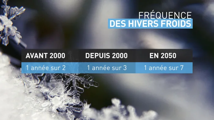 Fréquence des hivers froids