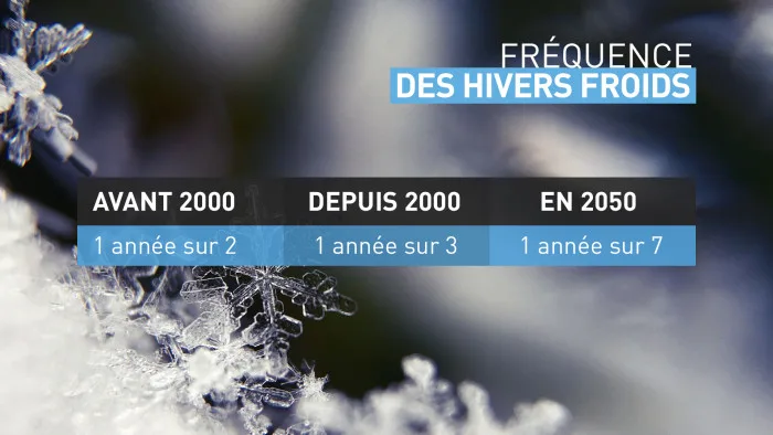 Fréquence des hivers froids