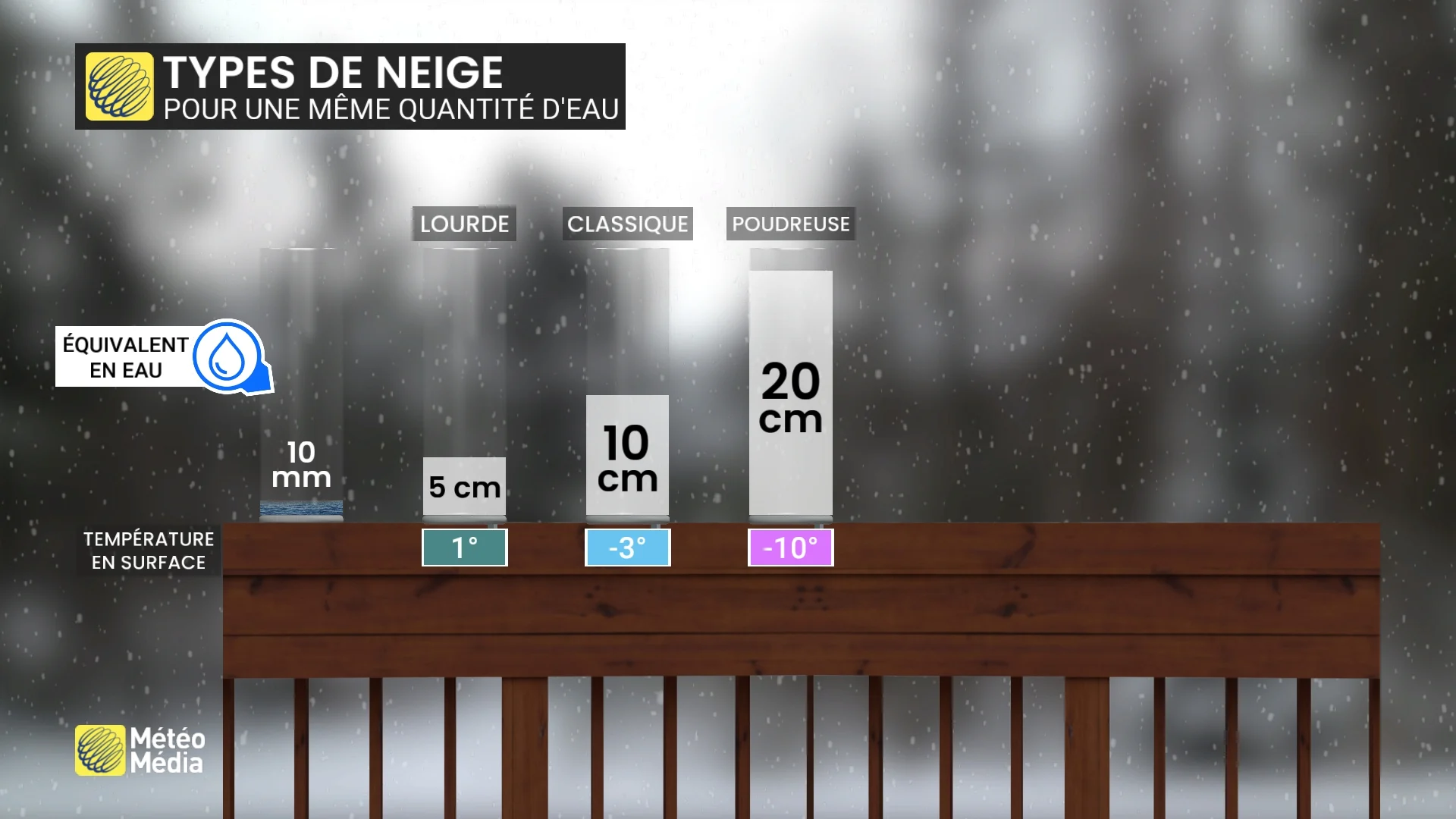 NEIGE3 (7)