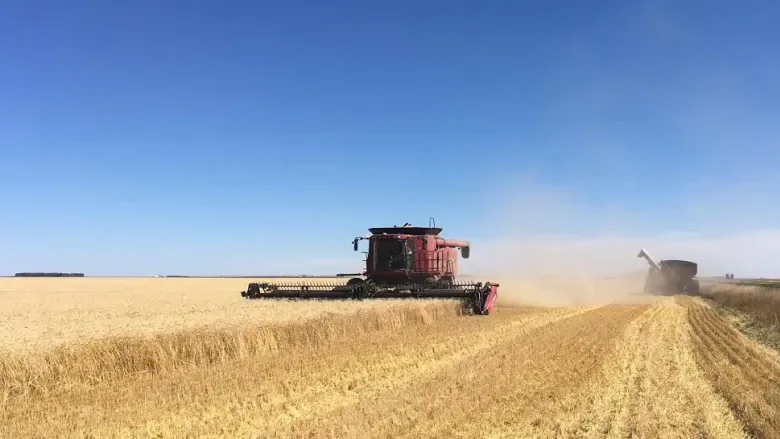 glaze-combine-harvest