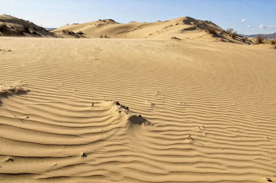 Une canicule historique décime la faune. Voyez où.