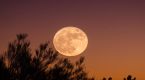 Mercredi soir : la pleine lune sortira de l'ordinaire