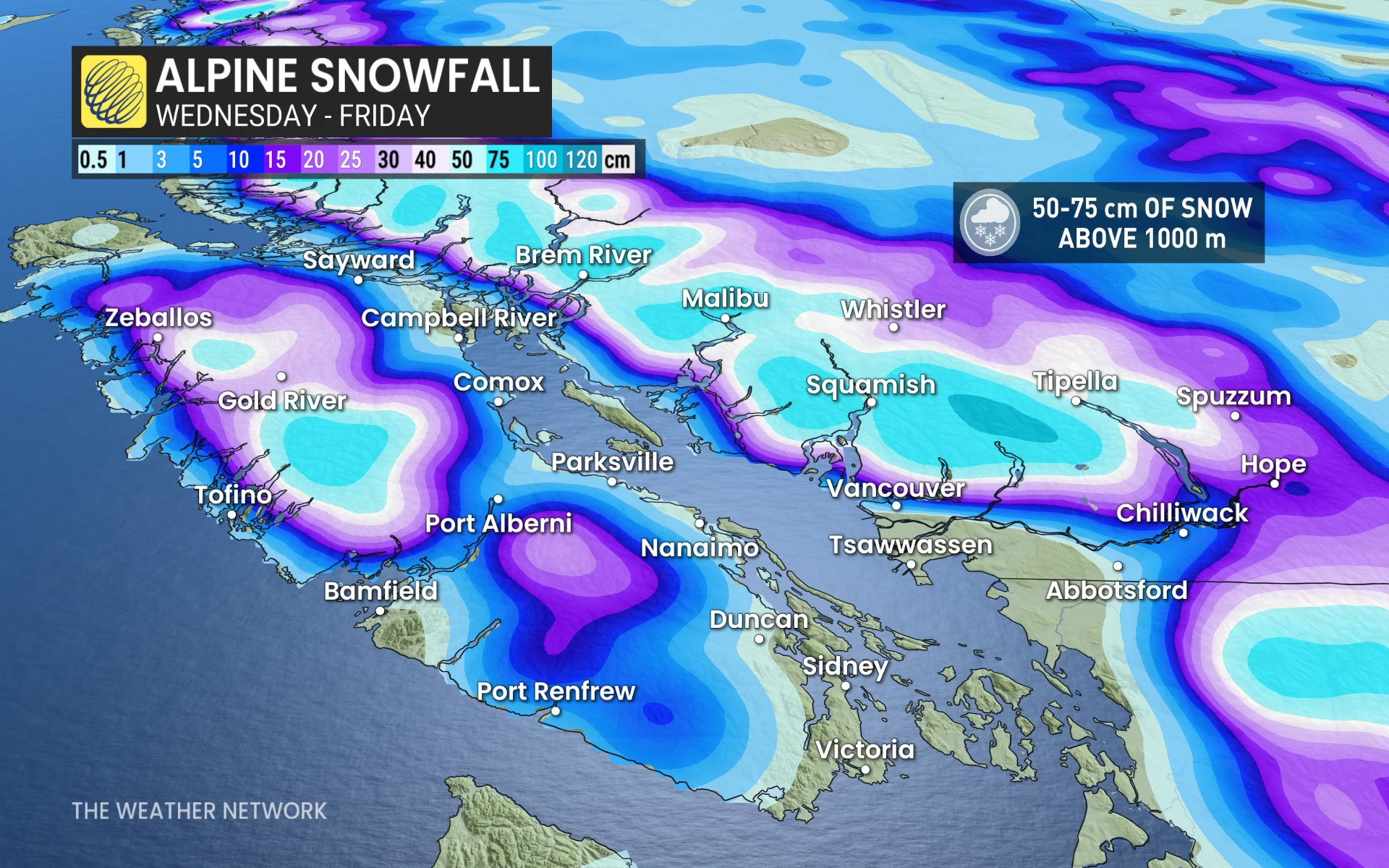 Baron - BC snow - Mar19