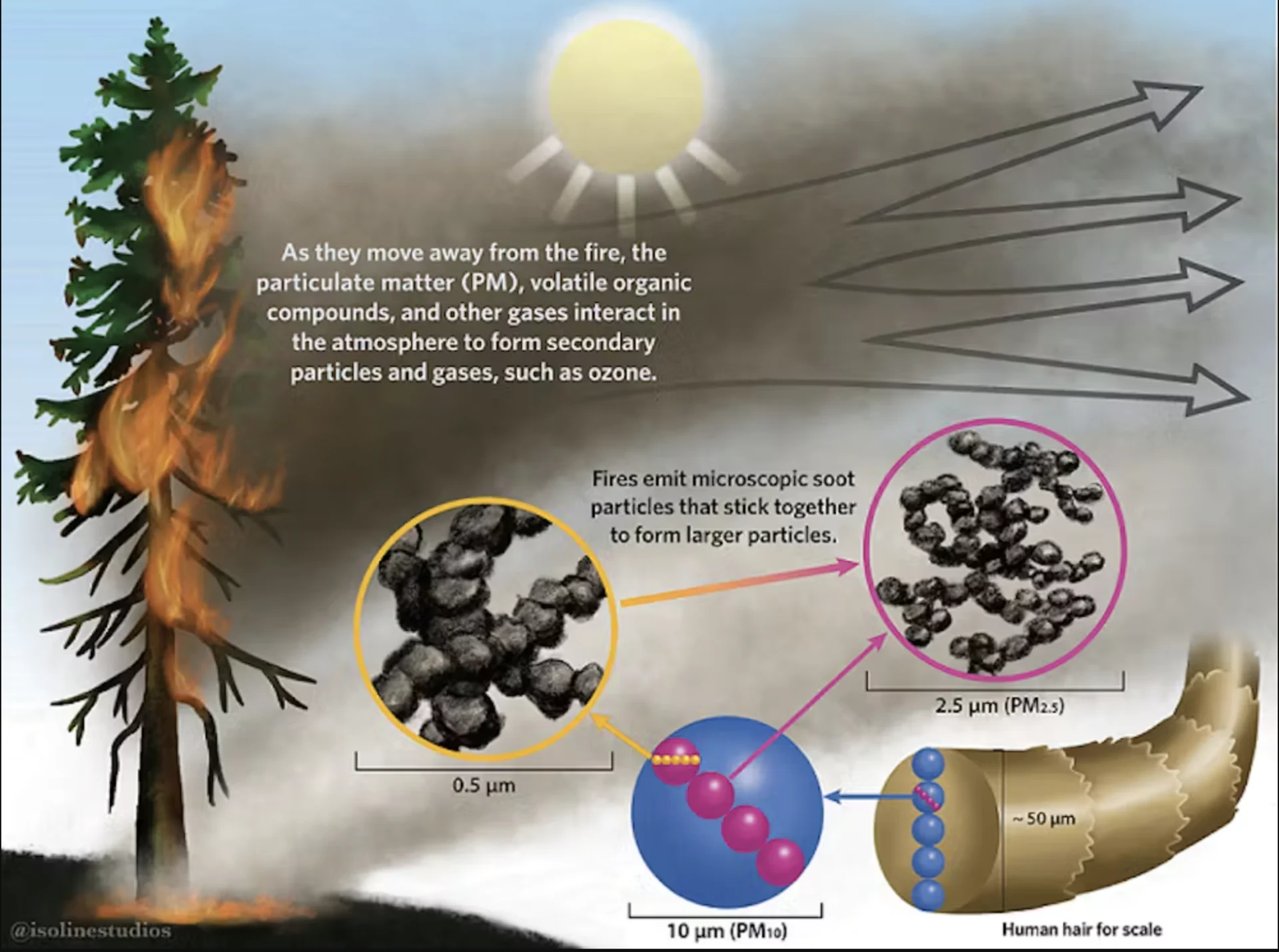 Credit: Jen Burgess/IsolineStudios for BC Centre for Disease Control. Link: http://www.bccdc.ca/health-info/prevention-public-health/wildfire-smoke