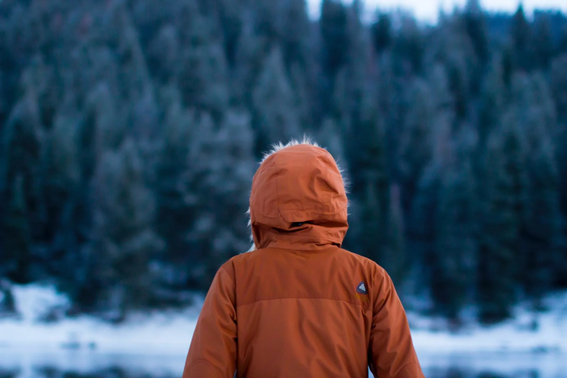 Si vous vous préparez à l'arrivée du printemps, arrêtez et lisez ceci