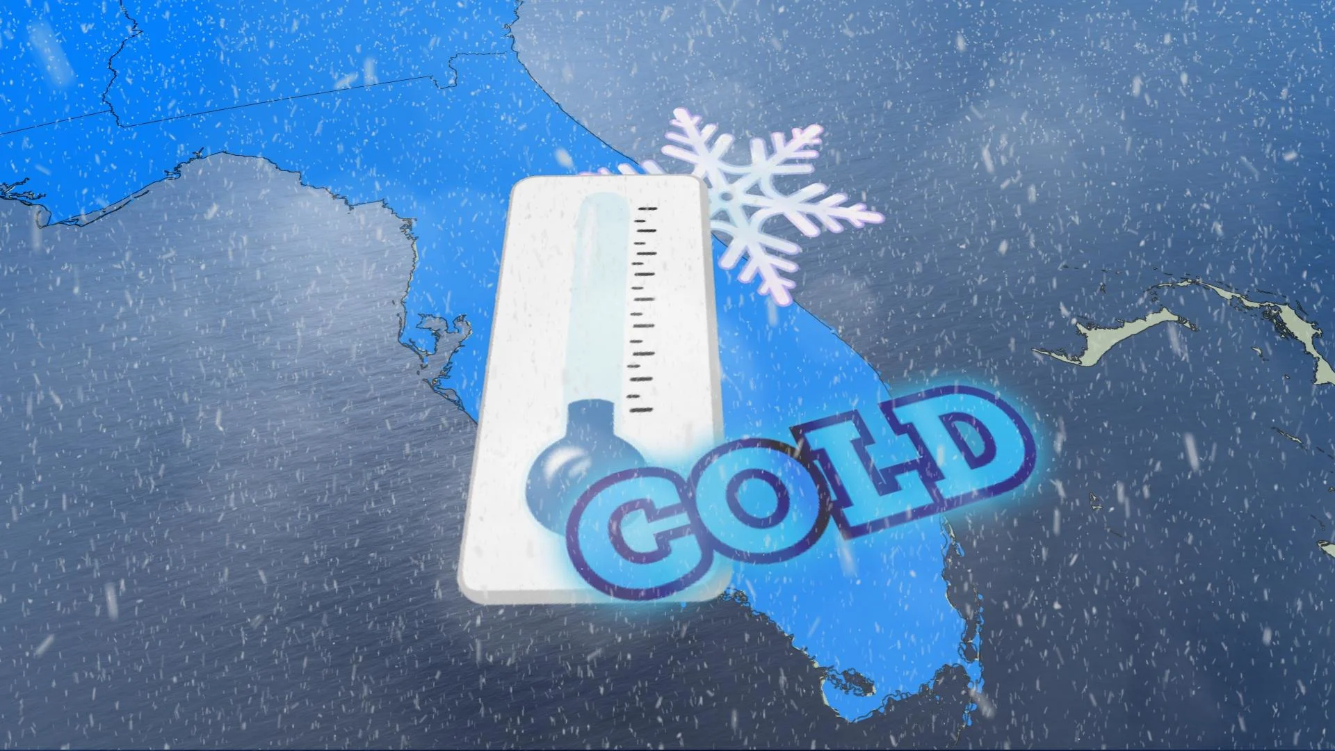 Why Florida’s iguanas fall from trees when cold air arrives - The ...