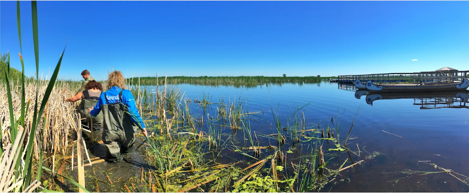 Oak Hammock Marsh. Photo Credit: Travel Manitoba