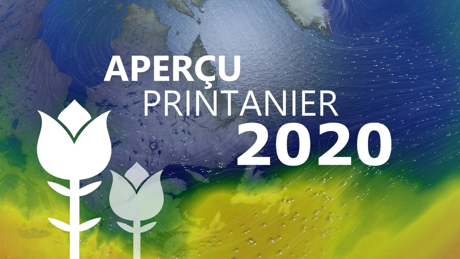 Printemps 2020 : plus doux, mais tourmenté