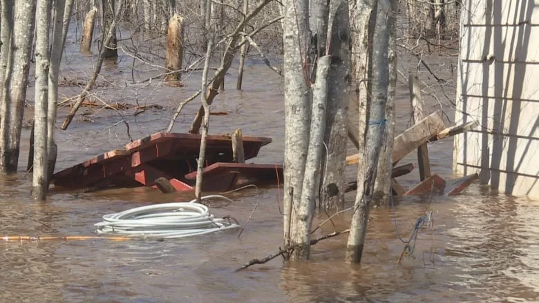 N.B. Floods: Saint John water levels dip below flood stage