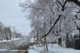 Season rewind: Disruptive spring snow piles up across southern Ontario