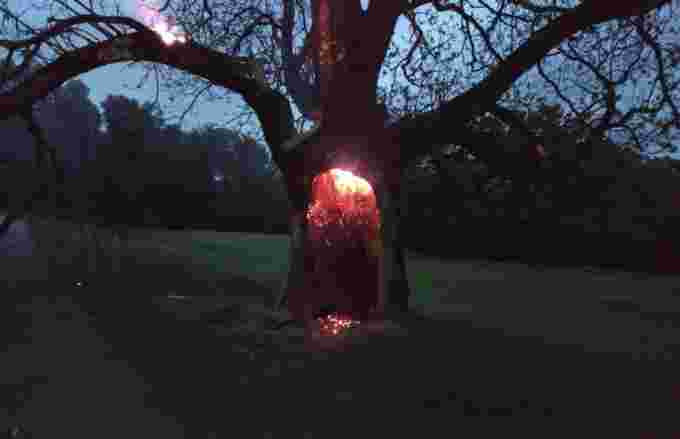 Millbury fire dept - facebook - lightning hits tree