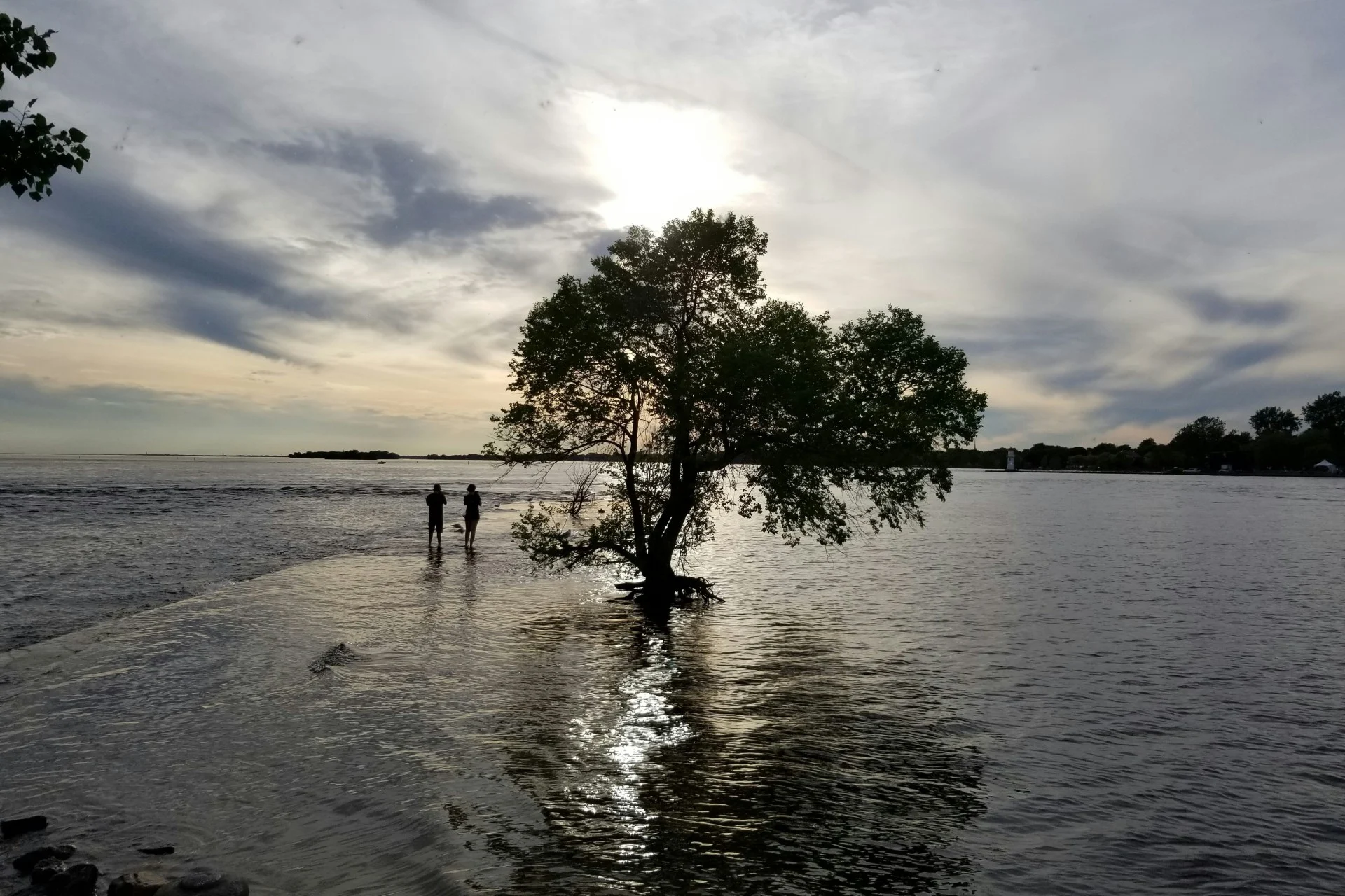 Des villes éponges pour contrer les inondations