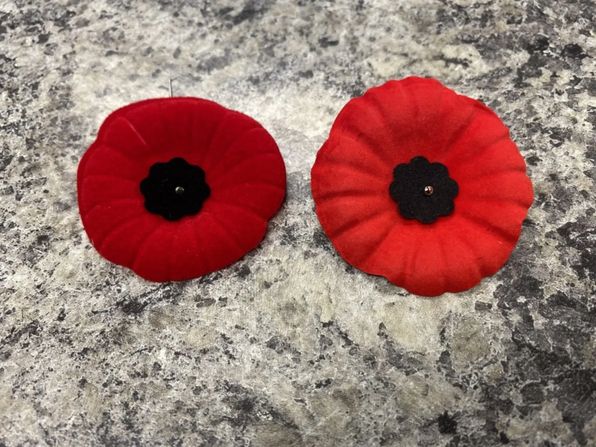 Royal Canadian Legion takes a 'green' approach to poppies this Remembrance Day