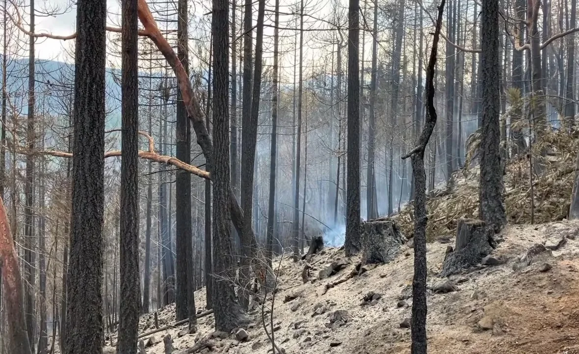 wesley-ridge-fire-august-2025/BC Wildfire Service via CBC
