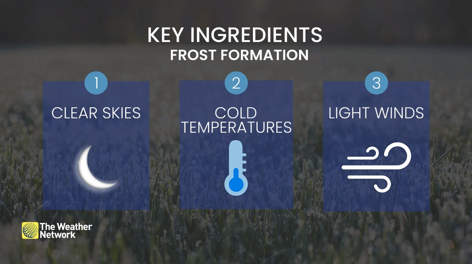 Key ingredients for frost formation