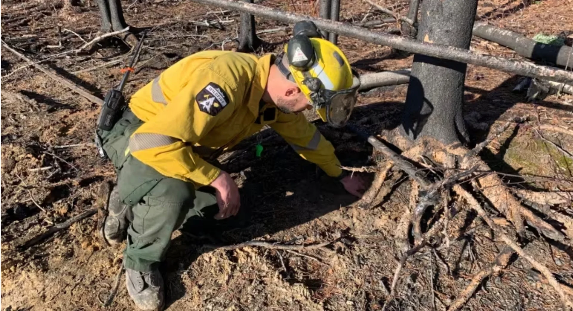 Fire crews on the lookout for zombie fires that can spring back to life