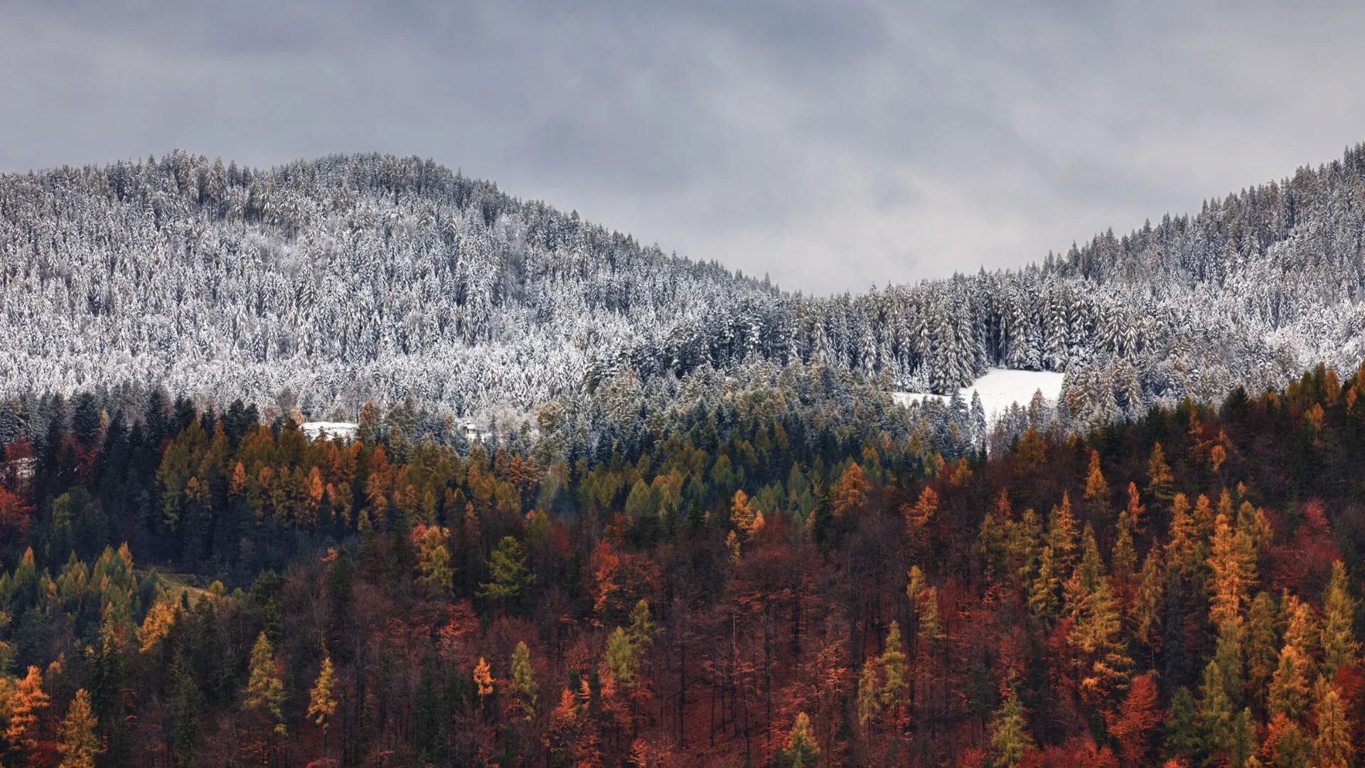 Calgary's start to winter weather has been falling behind this season